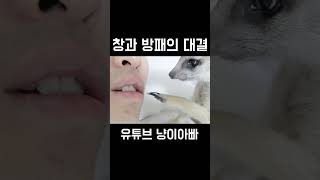 창과 방패의 대결