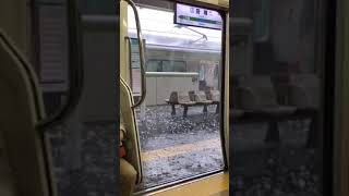 Freak hail storm hits Tokyo