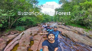 Traveling මාකන්දාව rain forest ( Kithulgala )