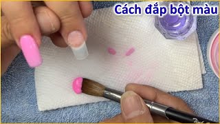 Cách Đắp bột màu basic cho ace mới vào nghề | Tinh Yeu Nails