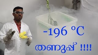 Liquid Nitrogen Experiments Malayalam with Scientist Vadu