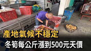 產地氣候不穩定 冬筍每公斤漲到500元天價－民視新聞