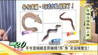 你是水腫體質？吃「淡水魚」就對了！健康2.0 20161211 (1/4)