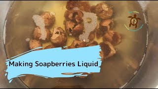 Making Soapberries Liquid!