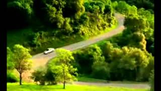 Car disappears behind a tree, spooky!