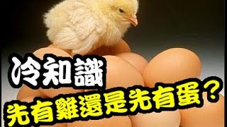 40秒了解5個冷知識 - 先有雞還是先有蛋