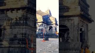 trimbakeshwar jyotirlinga #shorts #trending #viral #shivratri #trimbakeshwar