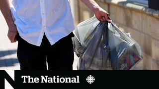 Inflation in Canada hits 39-year high of 8.1%