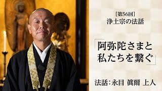 【浄土宗の法話】「阿弥陀さまと私たちを繋ぐ」【令和６年１０月】