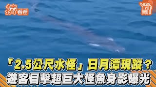 「2.5公尺水怪」日月潭現蹤? 遊客目擊超巨大怪魚身影曝光｜TVBS新聞｜擠看看 #Shorts