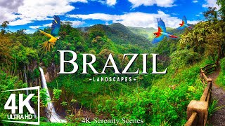 Flying Over Brazil 4K - Stunning Landscapes of the South American Giant With Calming Music