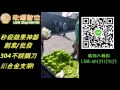 欣輝數位【蘋果削皮器-三合一】削皮去和切片 一次搞定!! 外國人削蘋果!