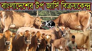 বাংলাদেশের টপ জার্সি বিক্রয়কেন্দ্র।জার্সি মুন্ডীসহ সব গুলো বাঘাবাড়ীর অর্জিনাল জার্সি গাভী।রাহী ডেইরী