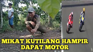 Mikat kutilang lucu hampir kelindes motor