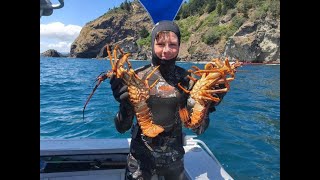 Family Great Barrier Crayfish mission