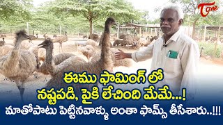 Emu Bird Farming in Telugu | ఈము ఫామింగ్‌లో నష్టపడి, పైకి లేచింది మేమే..!! Tone Agri