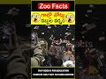 😱డబ్బుల వర్షం😱money rain somewhere amazingfacts zoofacts shorts