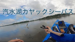 カヤックフィッシング　汽水湖シーバスゲーム