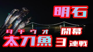 開幕！？明石の某漁港でタチウオ調査！