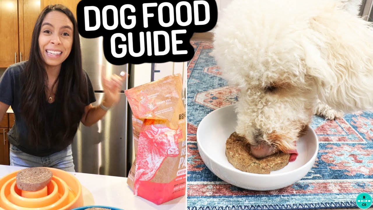 Look For THIS When Choosing A Dog Food! - YouTube