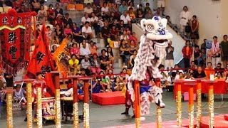 2016泰山獅王爭霸賽- 新竹聯豐龍獅戰鼓團 Lion Dance Competition