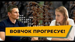 ЗАГОСТРЕННЯ СИТУАЦІЇ З ВОВЧКОМ ПІД ЧАС КАРАНТИНУ