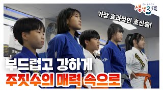 부드럽고 강하게🏃‍♂️ 주짓수의 매력 속으로｜230609 생생3도