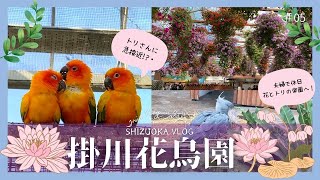 #05 【掛川花鳥園】トリさんたちと急接近!?鳥と花の楽園へ！🦜🪷