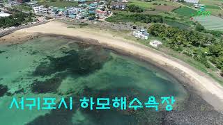 제주🌴서귀포🐠하모해수욕장🏖대정읍 해안도로