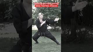 NINJA FIGHTING STANCES - Togakure Ryu Ninpo Taijutsu #Ninjutsu #Shorts