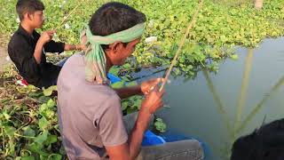 বড়শি দিয়ে মাছ ধরার চমৎকার দৃশ্য// Best Hook Fishing 2024