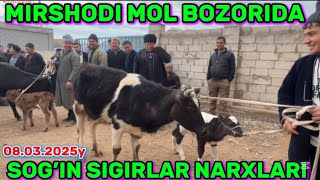 SOG’IN SIGIRLAR NARXLARI OLTINSOY MIRSHODI MOL BOZORIDA 08.03.2025y #rek #chorvaolami #surxondaryo