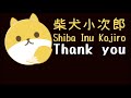 【柴犬】小次郎、海へ夕涼み散歩。跳べない飼主は砂にめり込み落ち込む