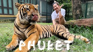 Thailand🇹🇭Ep 04【Phuket/ 普吉岛】Tigers, Islands \u0026 FantaSea3️⃣日游📍Nov 2022