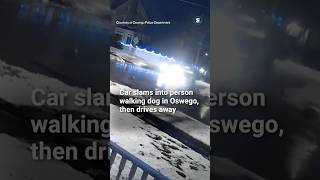 Car hits pedestrian walking dog in Oswego, driver flees the scene