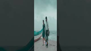 Nee Valle Official Video Song - Raja Rani | Telugu