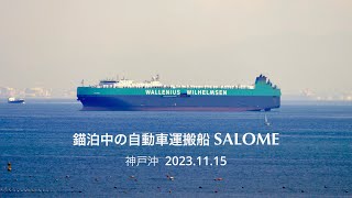 (HDR) 錨泊中の自動車運搬船  SALOME　神戸沖    2023.11.15