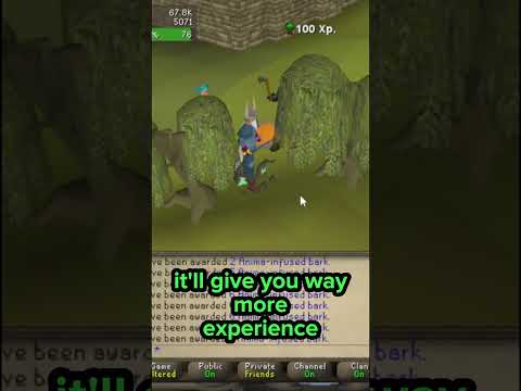 Forestry Tips For Woodcutting On OSRS - YouTube