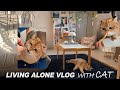 vlog 따뜻한 집꾸미기ing_ 혈당다이어트 하는 일상_건강한 간식템 & 영양 찐템 소개