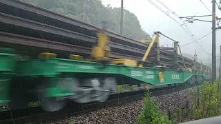 大雨🌧8090レJR貨物金太郎EH500−48