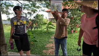 LA PlANTTATION ចម្ការម្រេចធំជាងគេនៅខេត្តកំពត រួមចំណែកជួយគាំទ្រសហគមន៍ជុំវិញ