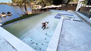 DOGS REACT: DRAINING OUR SWIMMING POOL - Super Cooper Sunday 325