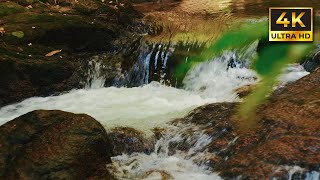 Relaxing Water Stream in 4K Ultra HD