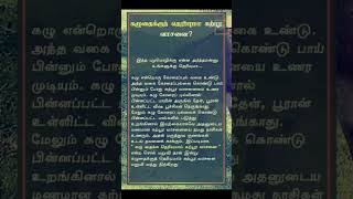 💯💯கழுதைக்குத் 😇😇தெரியுமா🔥❓ கற்புர💥💥 வாசனை❤️❤️ #பழமொழி #quotes #meaning #tamil