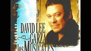 David Lee Garza y Los Musicales   Llevame