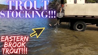 FIRST day of TROUT STOCKING in MASSACHUSETTS!!!