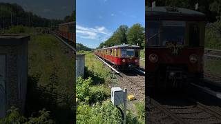 Der historische 100 Jahre S-Bahn Berlin Sonderzug (Br 477/475) fährt in Berlin Wannsee mit Makro ein