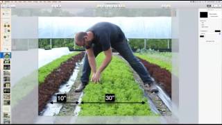 Curtis Stone: Intensive Production Systems for Urban Farms