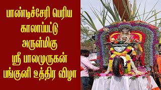 பாண்டிச்சேரி பெரிய காலாப்பட்டு அருள்மிகு ஸ்ரீ பாலமுருகன் பங்குனி உத்திர விழா | News Plus Tamil