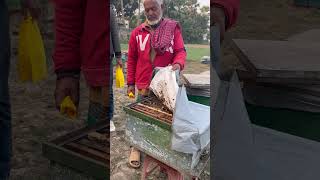 প্রাকৃতিক চাকের মধু।#agriculture